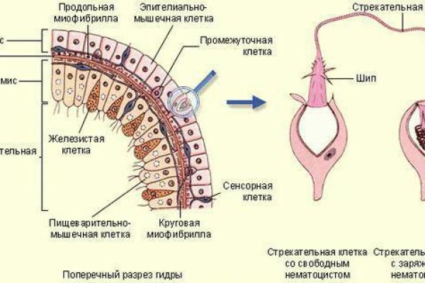 Кракен ссылки тор рабочая