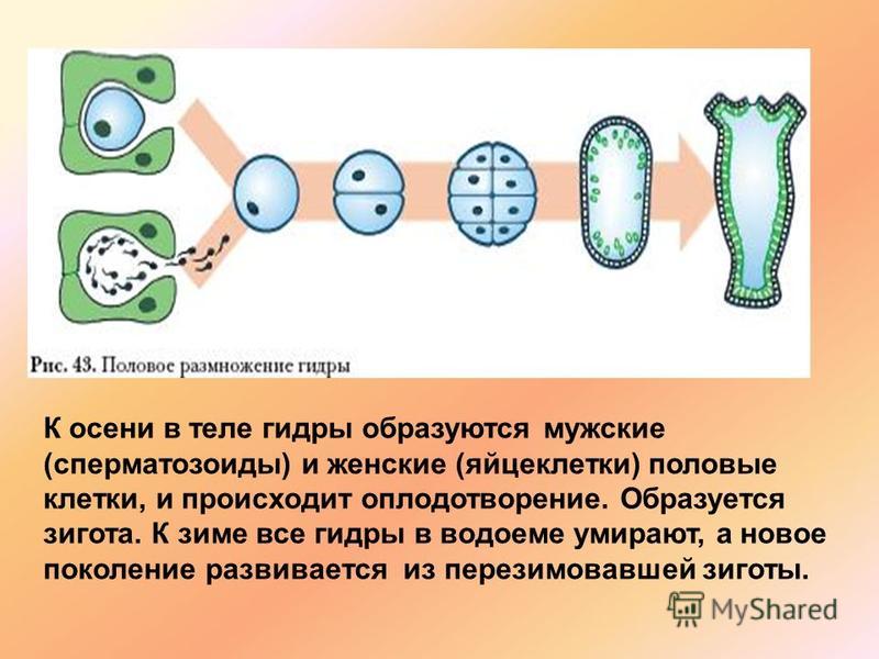 Реальная ссылка кракен