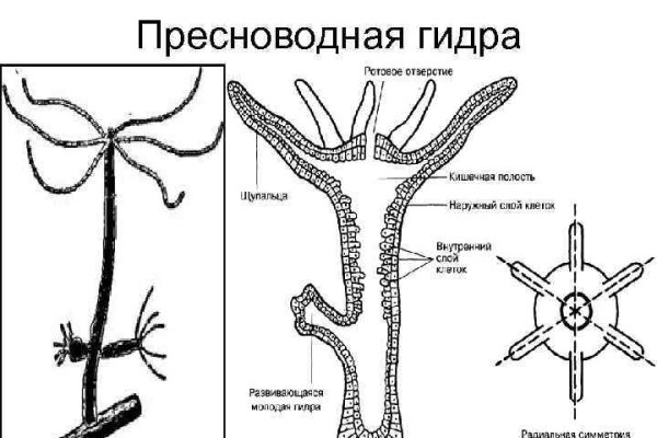 Кракен верификация